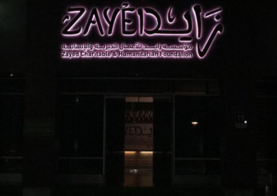 Zayed Night
